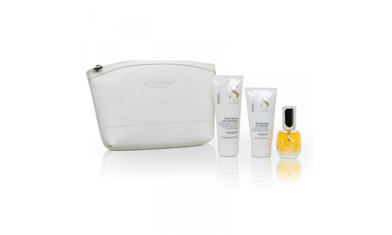 ALFAPARF Mini Gift Set